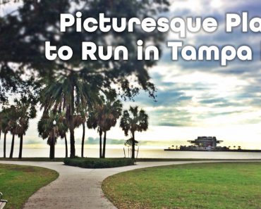 5 Picturesque Tampa Bay Running Spots